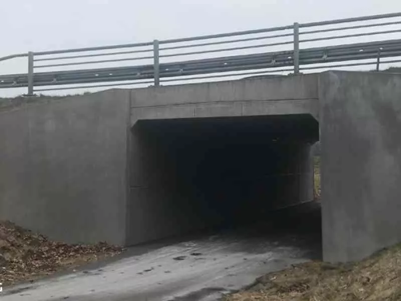 Efter afrensning skaegkaer