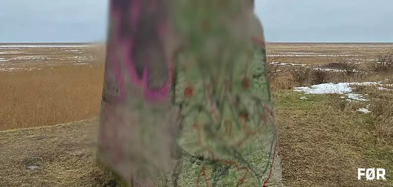 Amager Fælled mølle attrap   foer 2