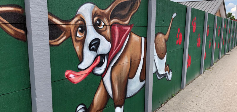 Dyrevaernet facade beskyttet mod graffiti
