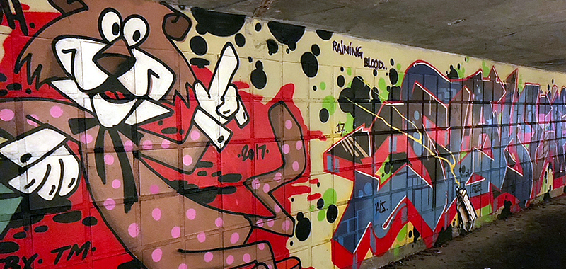 Tomsgardsvej beskyttelse af graffiti