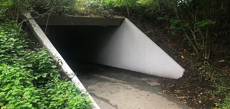tryg tunnel odder kommune efter afrensning sidefra