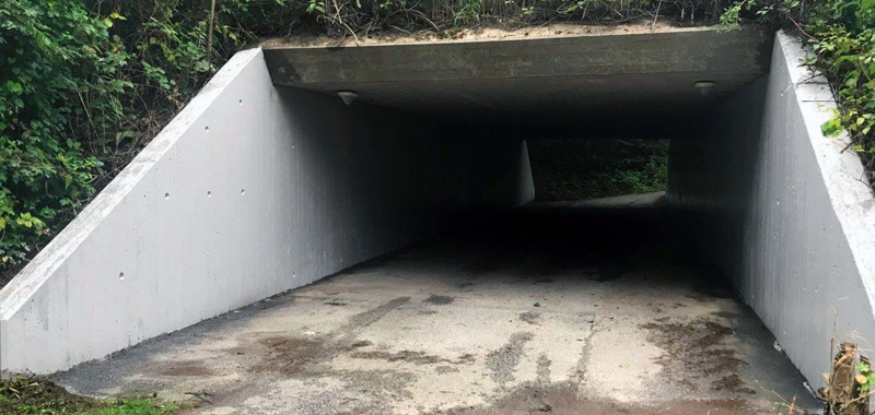 tryg tunnel odder kommune efter afrensning