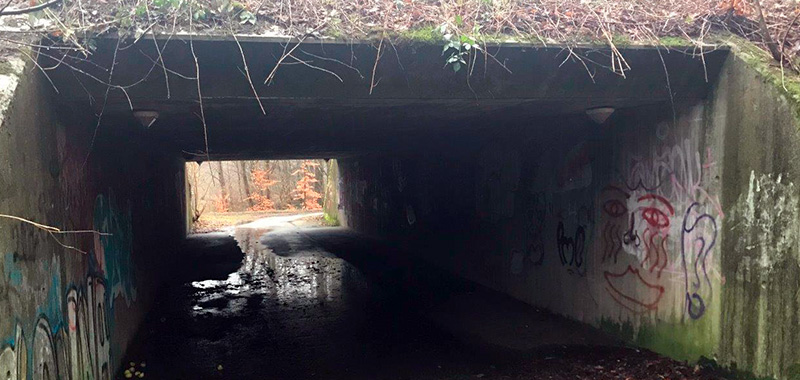tryg tunnel odder kommune for afrensning uhyggelig