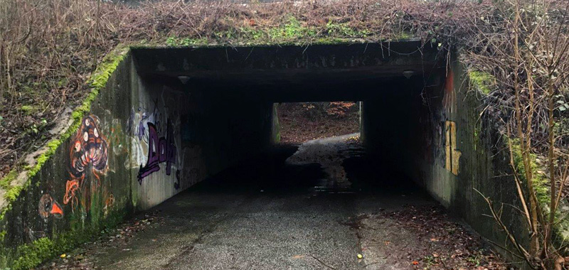 tryg tunnel odder kommune for afrensning